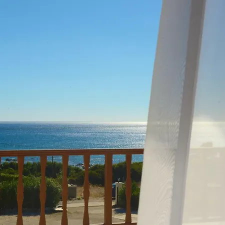 Blue Harmony קיוטארי